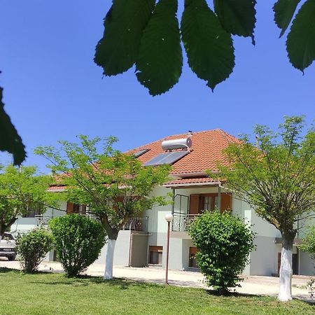 Zisis Garden Studios Ioannina Exterior photo