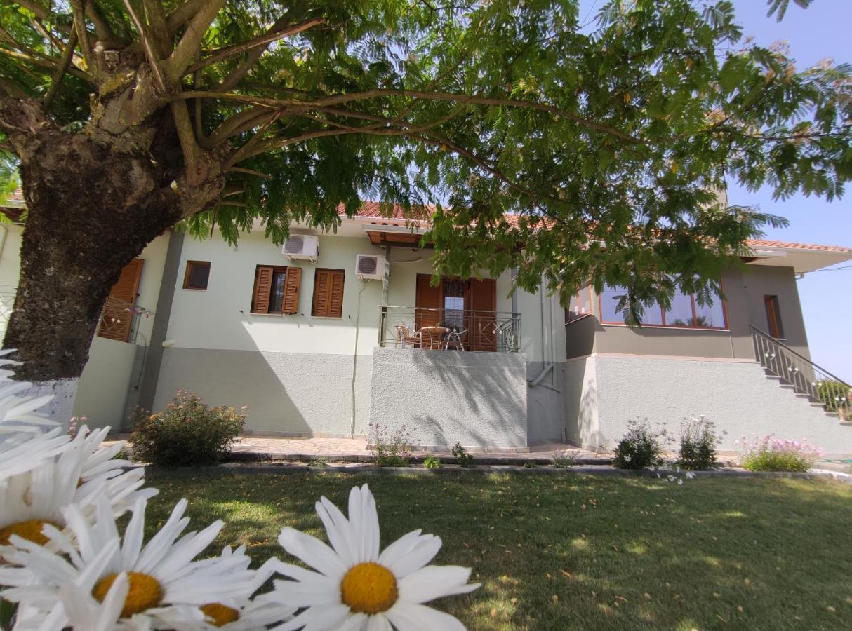 Zisis Garden Studios Ioannina Exterior photo